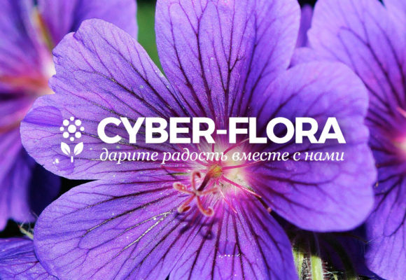 Logo Design for Flower Delivery Service with Online Store Cyber-Flora