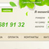 Web Design with Logo and its HTML Coding for Urgent Flower Delivery in Moscow Krassula